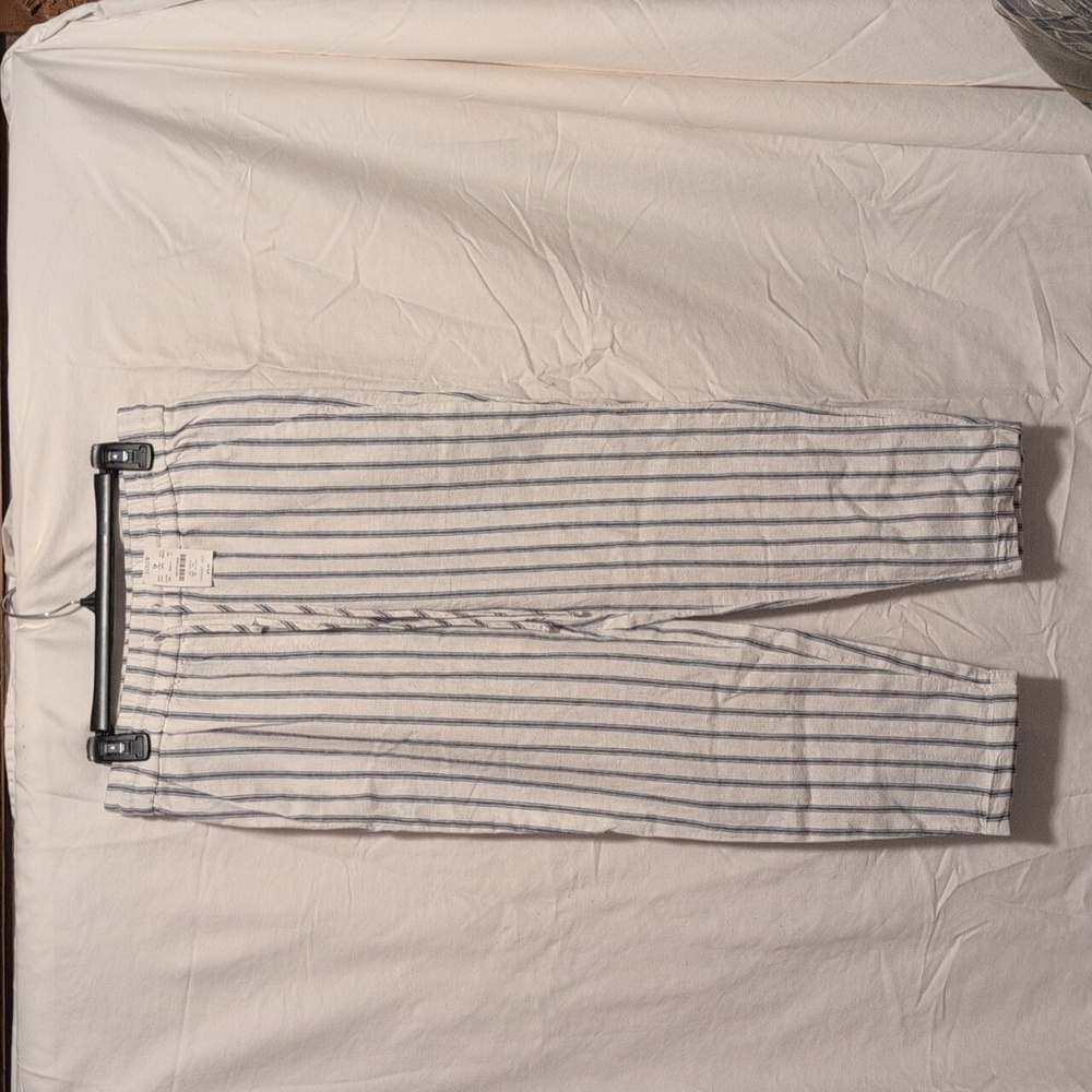 J.Crew Size 6 Off White And Blue Pants